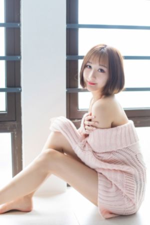 宝莲灯后传1到46集免费