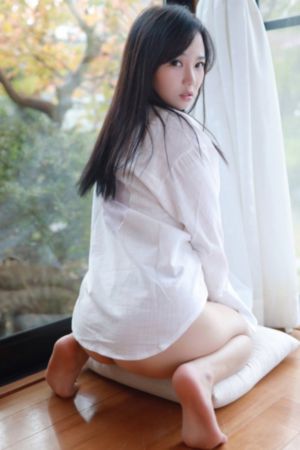 藏海花电视剧全集在线观看 免费