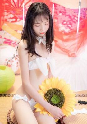索多玛的猫在线观看
